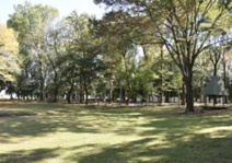 石井上宿緑地