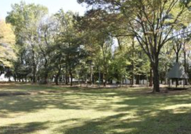 善能寺槻緑地の画像1