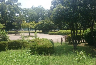 善能寺北野緑地の画像1