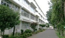 富士見中学校