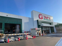 コメリハード&グリーン毛呂山店