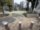 大阪ドーム北公園の画像