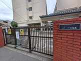 区立第三寺島幼稚園