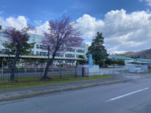 北海道北見緑陵高校