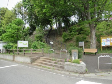 座間公園の画像1
