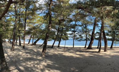 近江舞子中浜水泳場の画像2