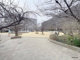 足代公園の画像