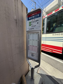高井戸東三丁目バス停(芦花公園駅行・荻窪駅南口行)の画像1