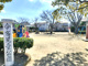 今宿自動公園の画像