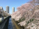 さくらクリニックの画像