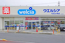 ウエルシア毛呂山川角店