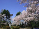富士森公園の画像