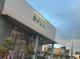 フジ道後店の画像