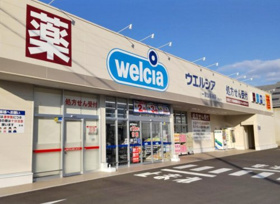 ウエルシア一宮公園通店の画像
