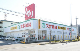 スギドラッグ 向山店の画像