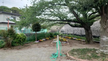 並木1号公園