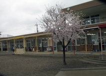 ひばり保育園