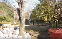 もくば公園