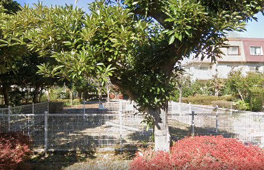じゅうじろ公園の画像1