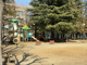 宮崎第三公園の画像