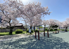 稲荷山公園の画像