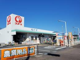 の画像