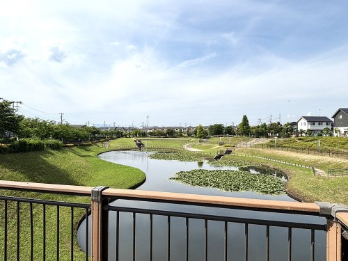本郷親水公園の画像