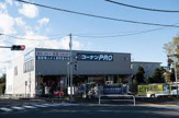 コーナンPRO板橋徳丸店