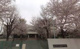 国分寺市立第五中学校の画像
