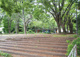 北区立桐ケ丘中央公園(北エリア)の画像