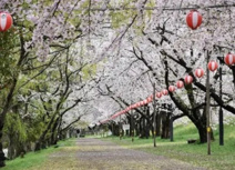 酒津公園