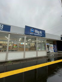 ビッグ・エー 三郷駅前店の画像1