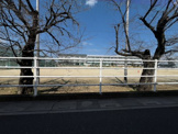 蓮田市立蓮田中学校