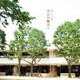 晴山幼稚園の画像