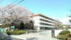 柏市立逆井小学校の画像
