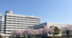 独立行政法人国立病院機構東京医療センターの画像