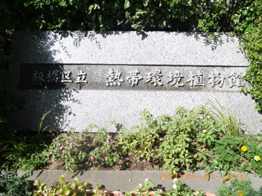 板橋区立 熱帯環境植物館の画像1