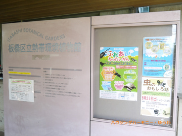 板橋区立 熱帯環境植物館の画像2
