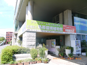 板橋区立 熱帯環境植物館の画像3