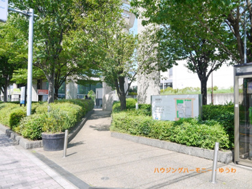 板橋区立 熱帯環境植物館の画像5