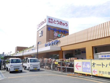 ケーヨーデイツー 高島平の画像2