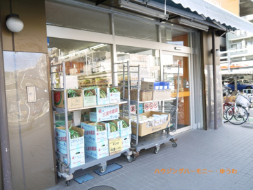 アコレ 高島平8丁目店の画像4