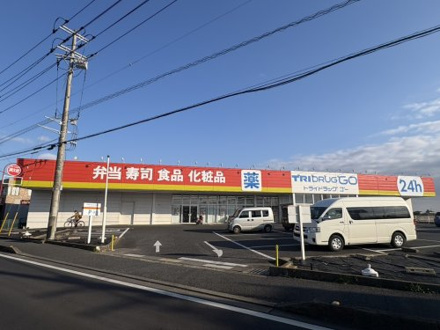 TRIDRUG GO 東金求名店