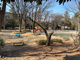 あざみ野四丁目南公園の画像