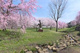 片倉城跡公園の画像