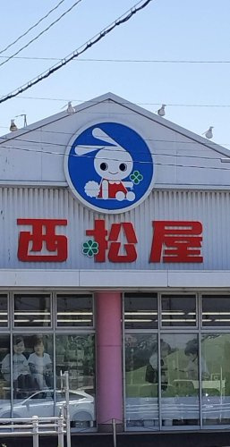の画像