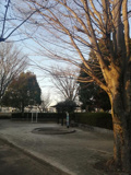 にじの公園