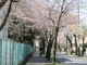船橋市立習志野台中学校の画像