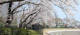 富士森公園の画像