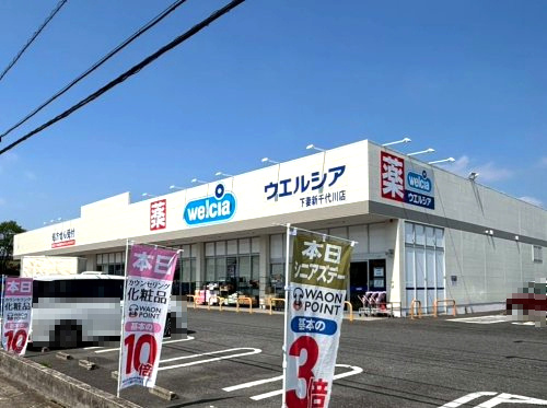 ウエルシア　下妻新千代川店の画像